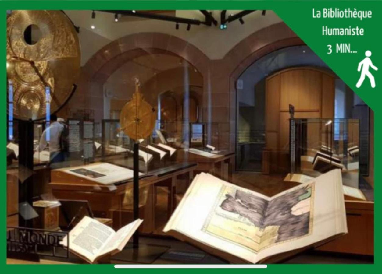 La Parenthese Alsacienne Au Coeur De Selestat公寓 外观 照片